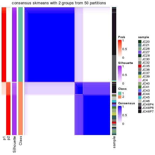 plot of chunk tab-node-03-consensus-heatmap-1