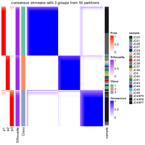 plot of chunk tab-node-03-consensus-heatmap-2