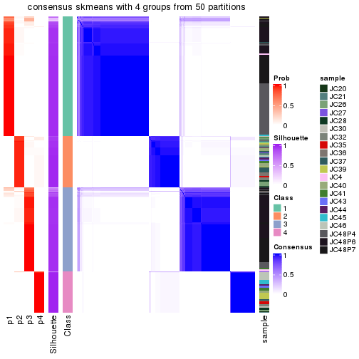 plot of chunk tab-node-03-consensus-heatmap-3