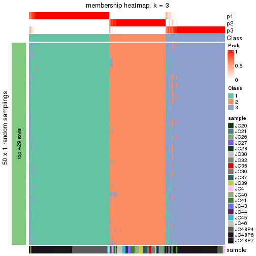 plot of chunk tab-node-03-membership-heatmap-2