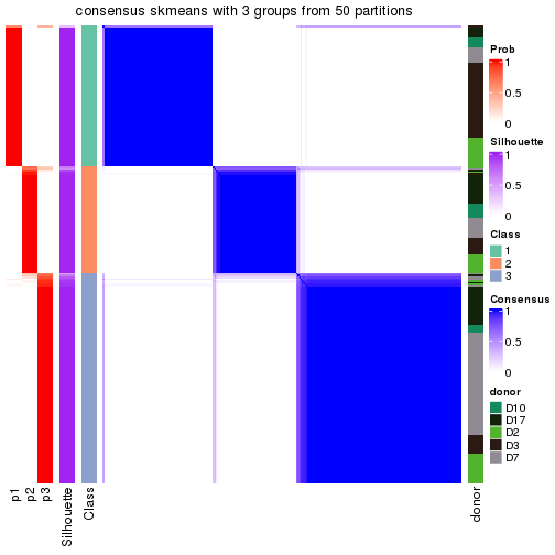 plot of chunk tab-node-023-consensus-heatmap-2