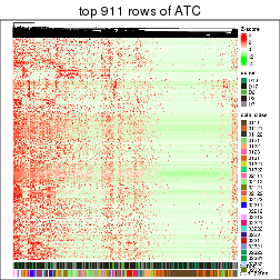 plot of chunk top-rows-heatmap