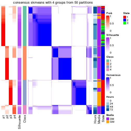 plot of chunk tab-node-0-consensus-heatmap-3