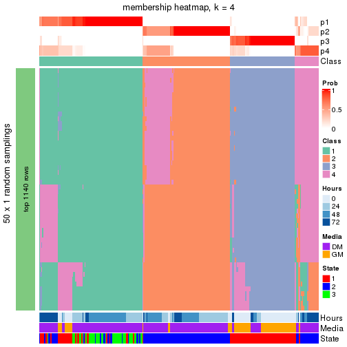 plot of chunk tab-node-0-membership-heatmap-3