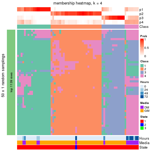 plot of chunk tab-node-03-membership-heatmap-3