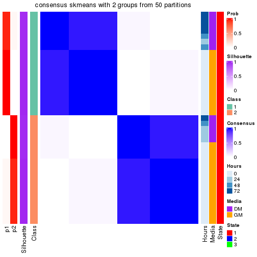 plot of chunk tab-node-031-consensus-heatmap-1