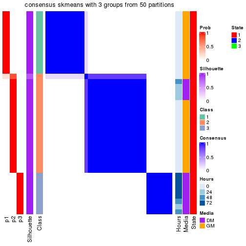 plot of chunk tab-node-031-consensus-heatmap-2