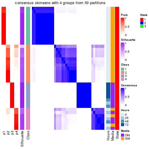 plot of chunk tab-node-031-consensus-heatmap-3