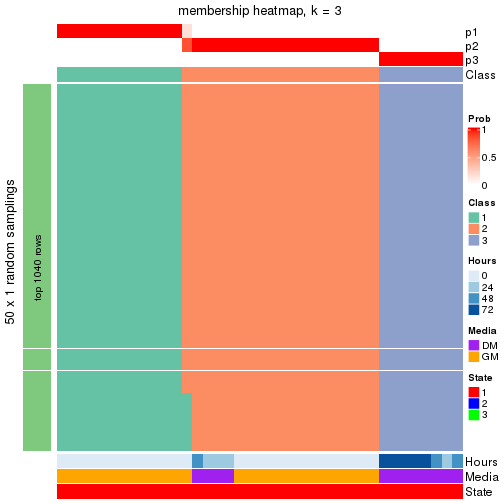 plot of chunk tab-node-031-membership-heatmap-2