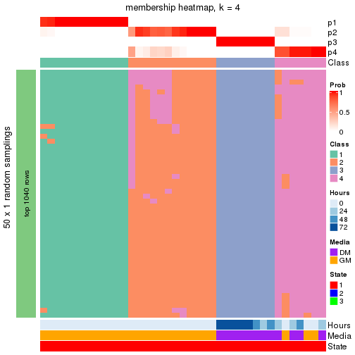 plot of chunk tab-node-031-membership-heatmap-3