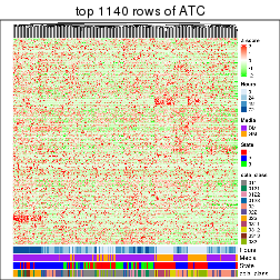 plot of chunk top-rows-heatmap