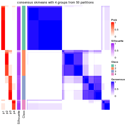 plot of chunk tab-node-0-consensus-heatmap-3