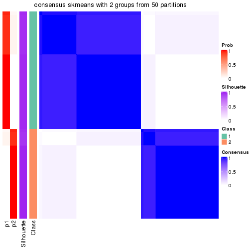 plot of chunk tab-node-01-consensus-heatmap-1