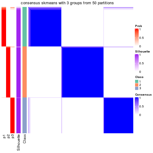 plot of chunk tab-node-01-consensus-heatmap-2