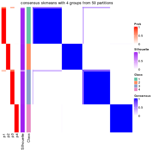 plot of chunk tab-node-01-consensus-heatmap-3