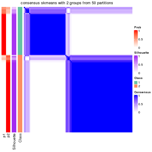 plot of chunk tab-node-011-consensus-heatmap-1