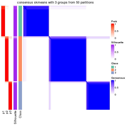 plot of chunk tab-node-011-consensus-heatmap-2