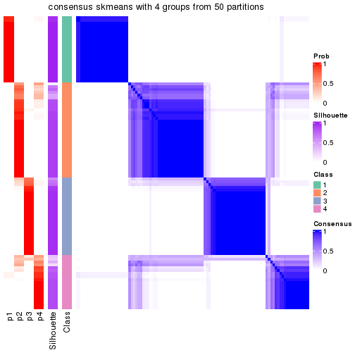 plot of chunk tab-node-011-consensus-heatmap-3