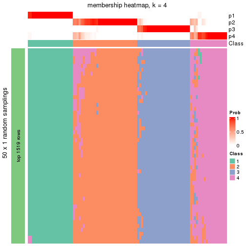 plot of chunk tab-node-011-membership-heatmap-3