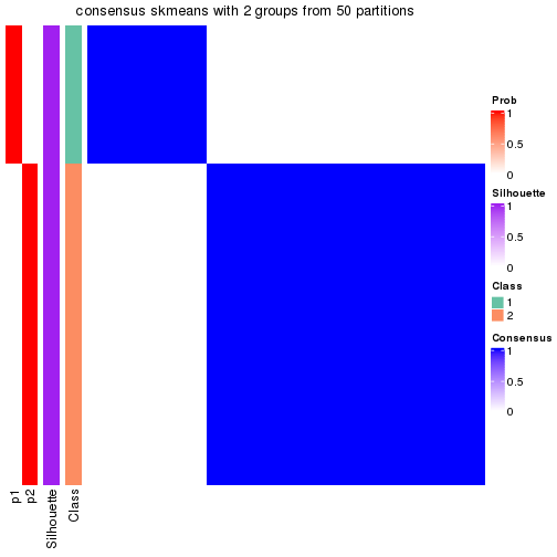 plot of chunk tab-node-0111-consensus-heatmap-1