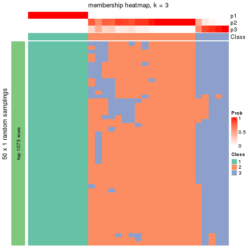 plot of chunk tab-node-0111-membership-heatmap-2