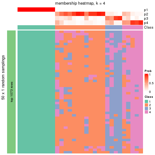 plot of chunk tab-node-0111-membership-heatmap-3