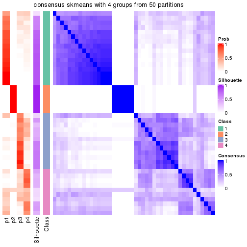 plot of chunk tab-node-0112-consensus-heatmap-3