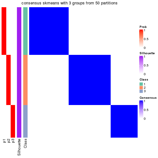 plot of chunk tab-node-013-consensus-heatmap-2