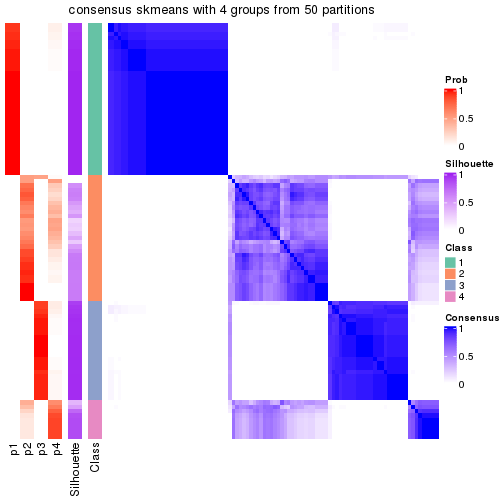 plot of chunk tab-node-013-consensus-heatmap-3