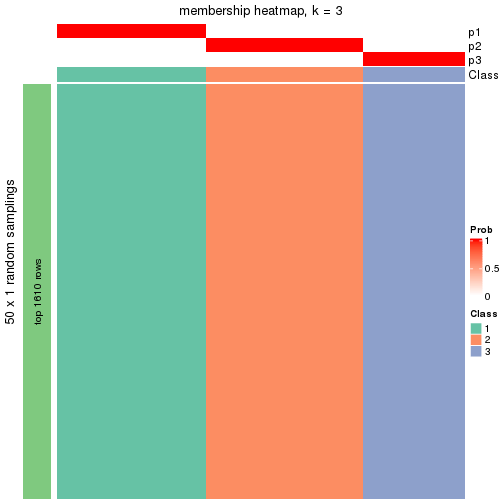 plot of chunk tab-node-013-membership-heatmap-2