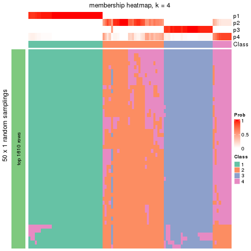 plot of chunk tab-node-013-membership-heatmap-3