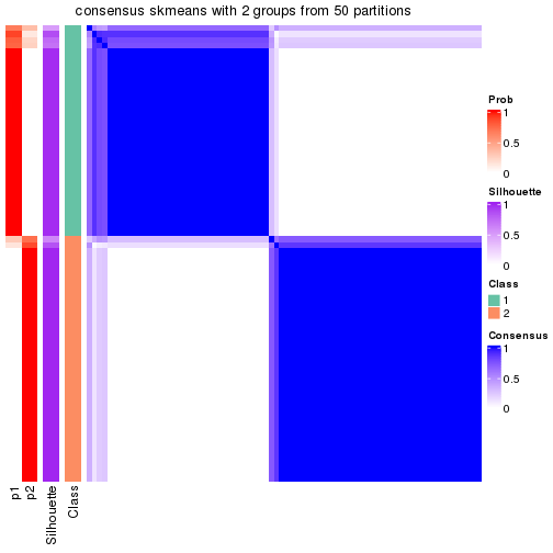 plot of chunk tab-node-014-consensus-heatmap-1