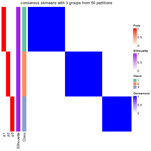 plot of chunk tab-node-014-consensus-heatmap-2