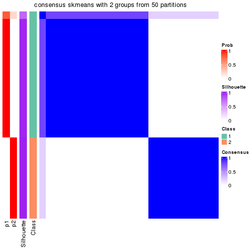 plot of chunk tab-node-0141-consensus-heatmap-1