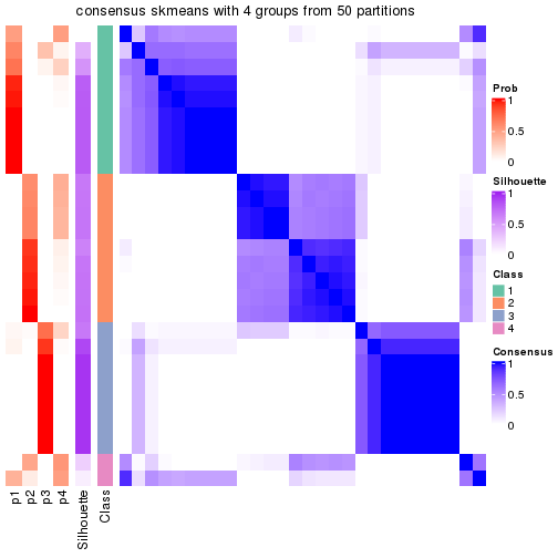 plot of chunk tab-node-0141-consensus-heatmap-3