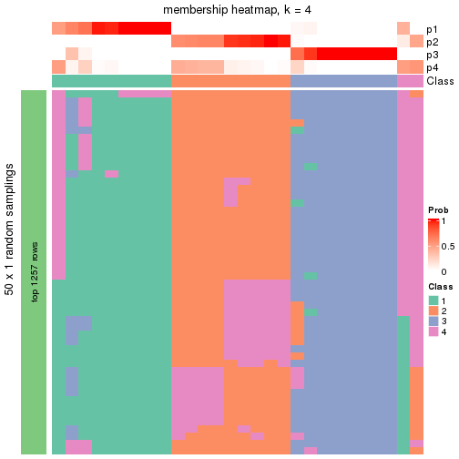 plot of chunk tab-node-0141-membership-heatmap-3