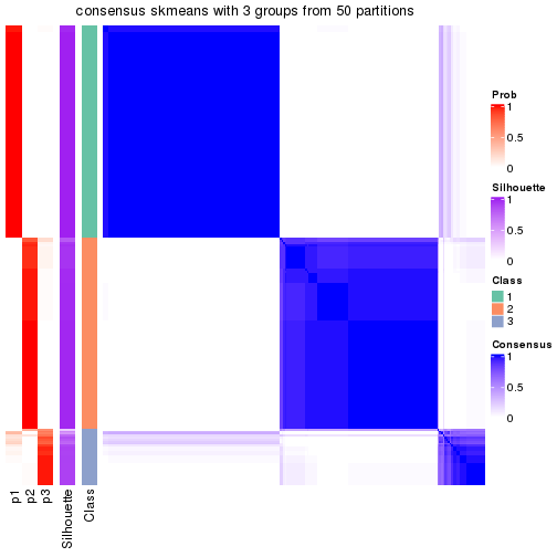 plot of chunk tab-node-02-consensus-heatmap-2