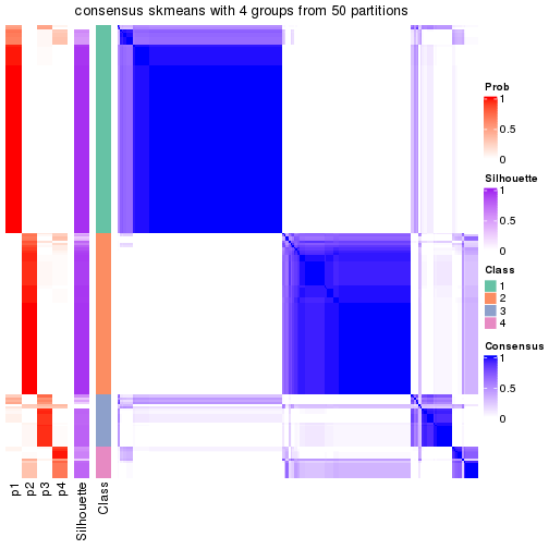 plot of chunk tab-node-02-consensus-heatmap-3