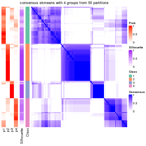 plot of chunk tab-node-021-consensus-heatmap-3