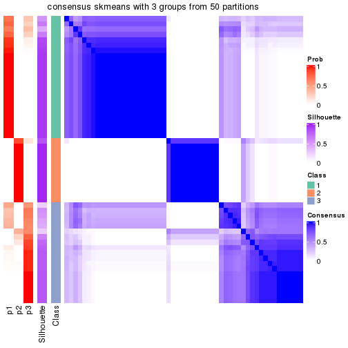 plot of chunk tab-node-0211-consensus-heatmap-2