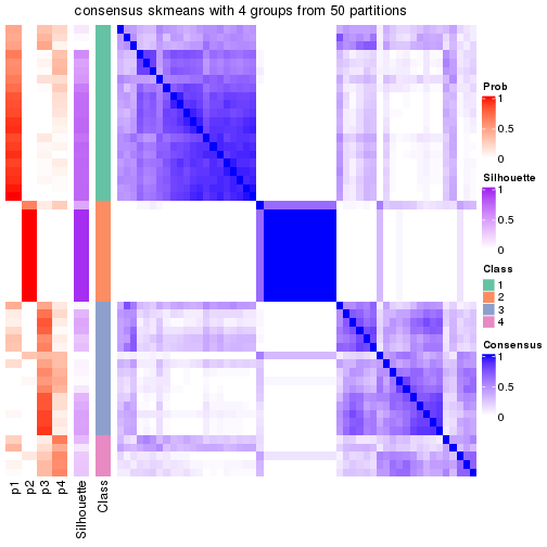 plot of chunk tab-node-0211-consensus-heatmap-3