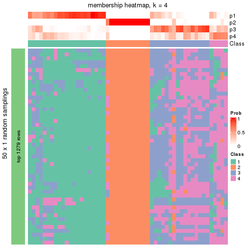 plot of chunk tab-node-0211-membership-heatmap-3