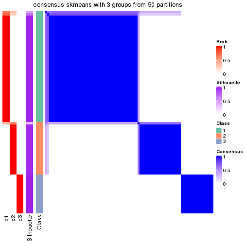 plot of chunk tab-node-022-consensus-heatmap-2