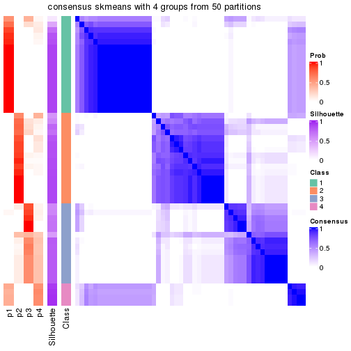 plot of chunk tab-node-0221-consensus-heatmap-3