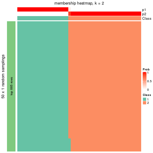 plot of chunk tab-node-0221-membership-heatmap-1