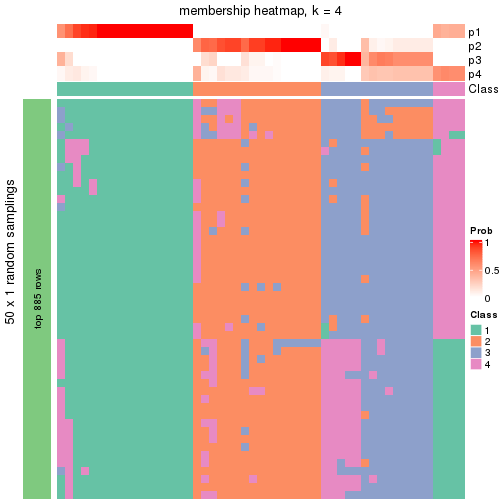 plot of chunk tab-node-0221-membership-heatmap-3