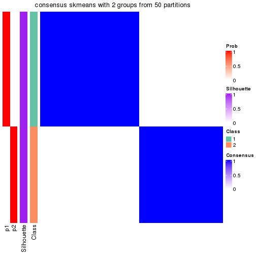 plot of chunk tab-node-0222-consensus-heatmap-1