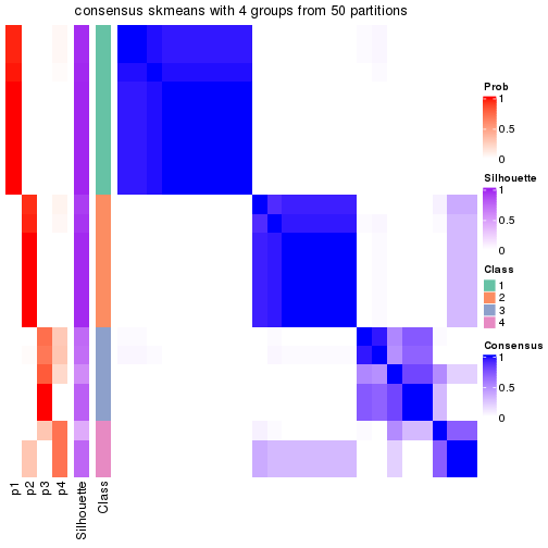 plot of chunk tab-node-0222-consensus-heatmap-3