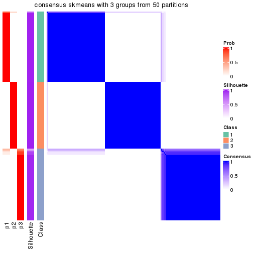 plot of chunk tab-node-03-consensus-heatmap-2