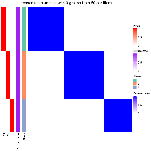 plot of chunk tab-node-031-consensus-heatmap-2